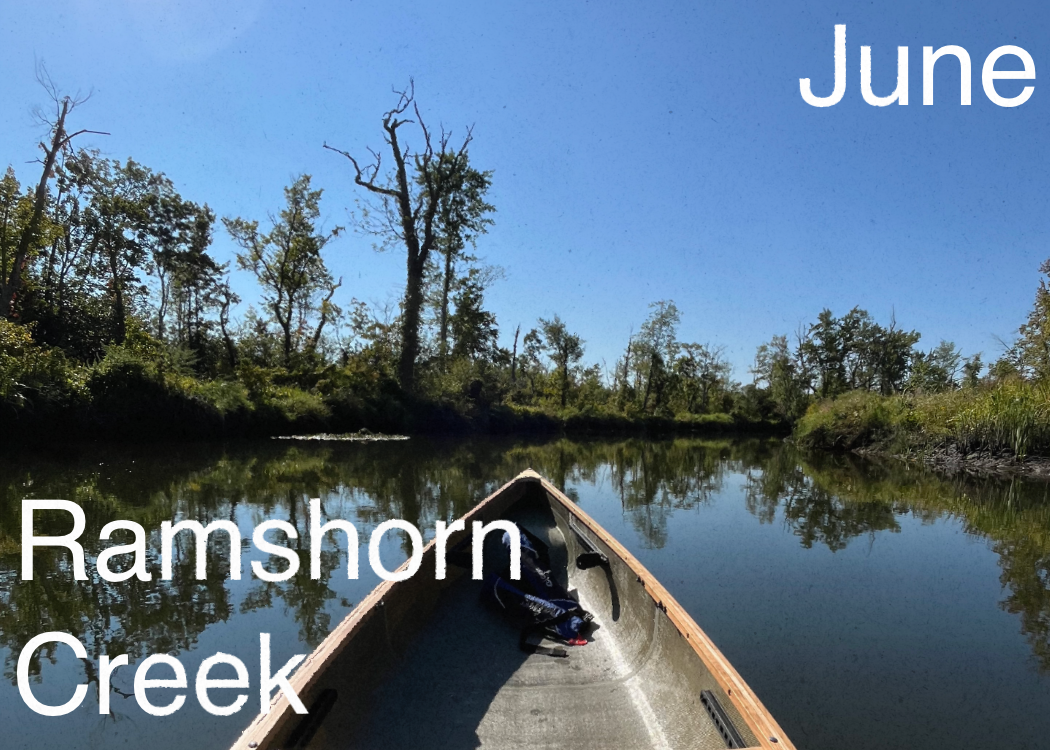 A boat on Ramshorn Creek surrounded by trees under a clear blue sky, with the words 'June' and 'Ramshorn Creek' overlaid.