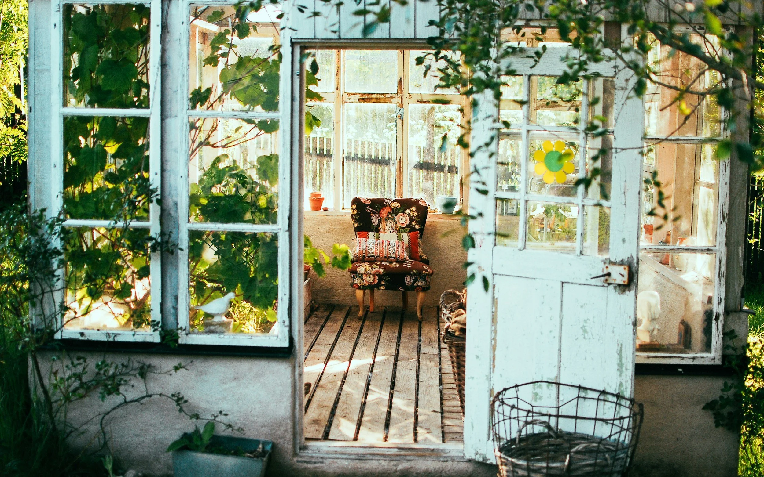 The image shows the interior of a rustic sunroom or greenhouse with weathered white wooden frames, filled with green plants and open windows. A vintage floral armchair sits in the center, accompanied by pillows, with sunlight streaming in, creating a cozy, nature-inspired space.