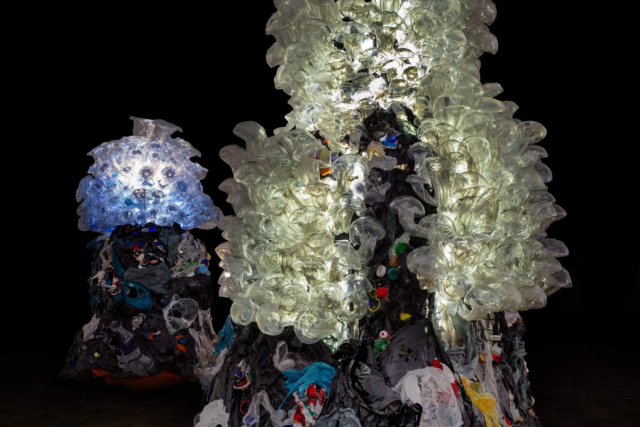 MYCOREMEDIATION 2050