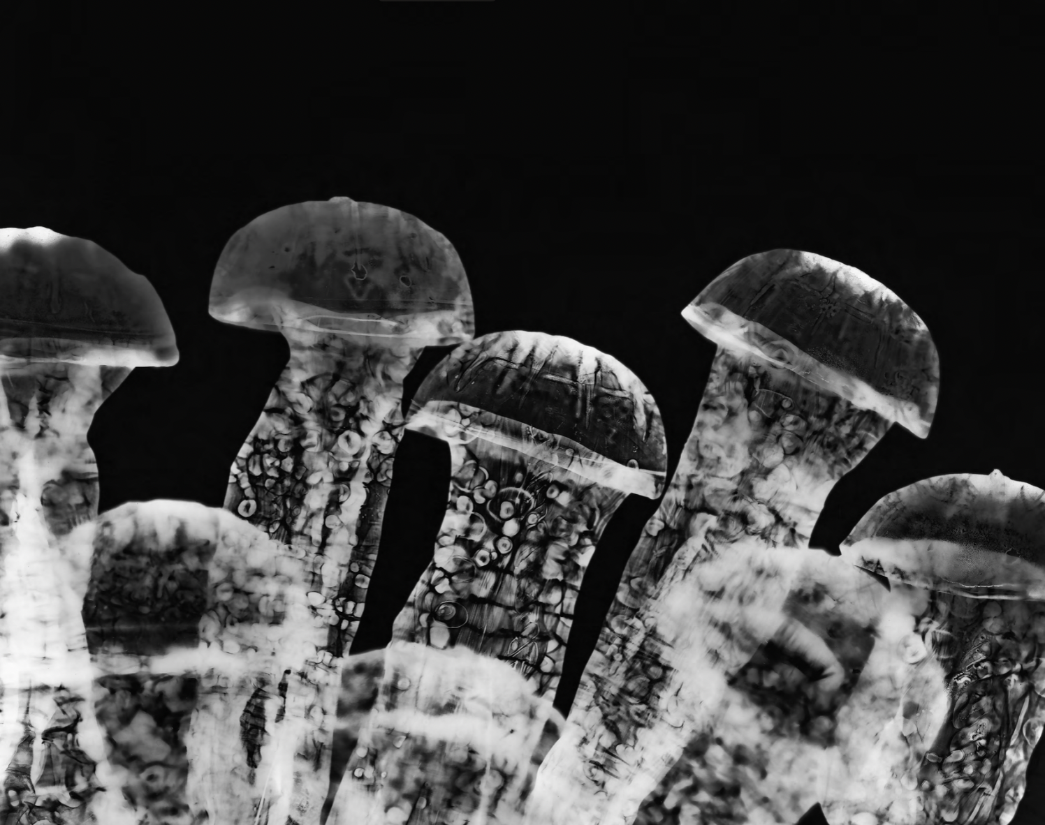 Screenshot 2026-03-16 at 18.26.04.png