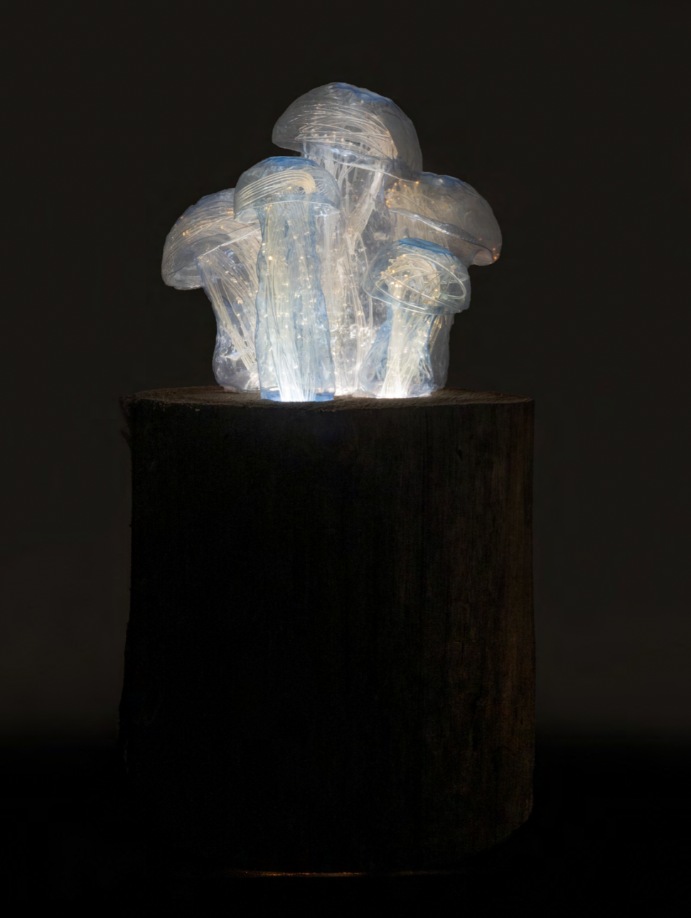 Screenshot 2026-03-16 at 18.25.39.png