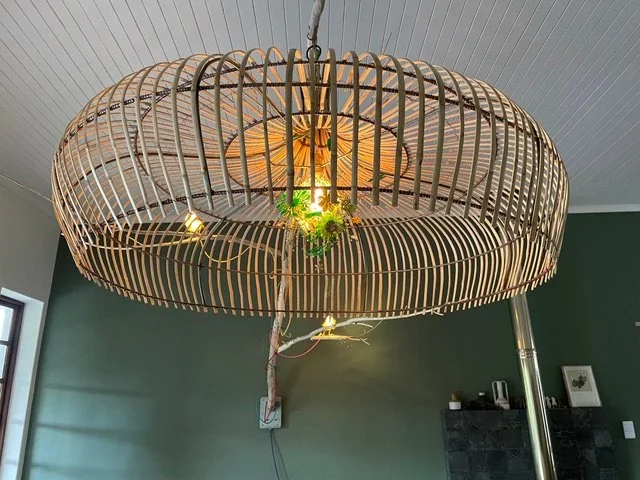 Branch with Spaanseriet shade and African Hoopoe 4.jpeg