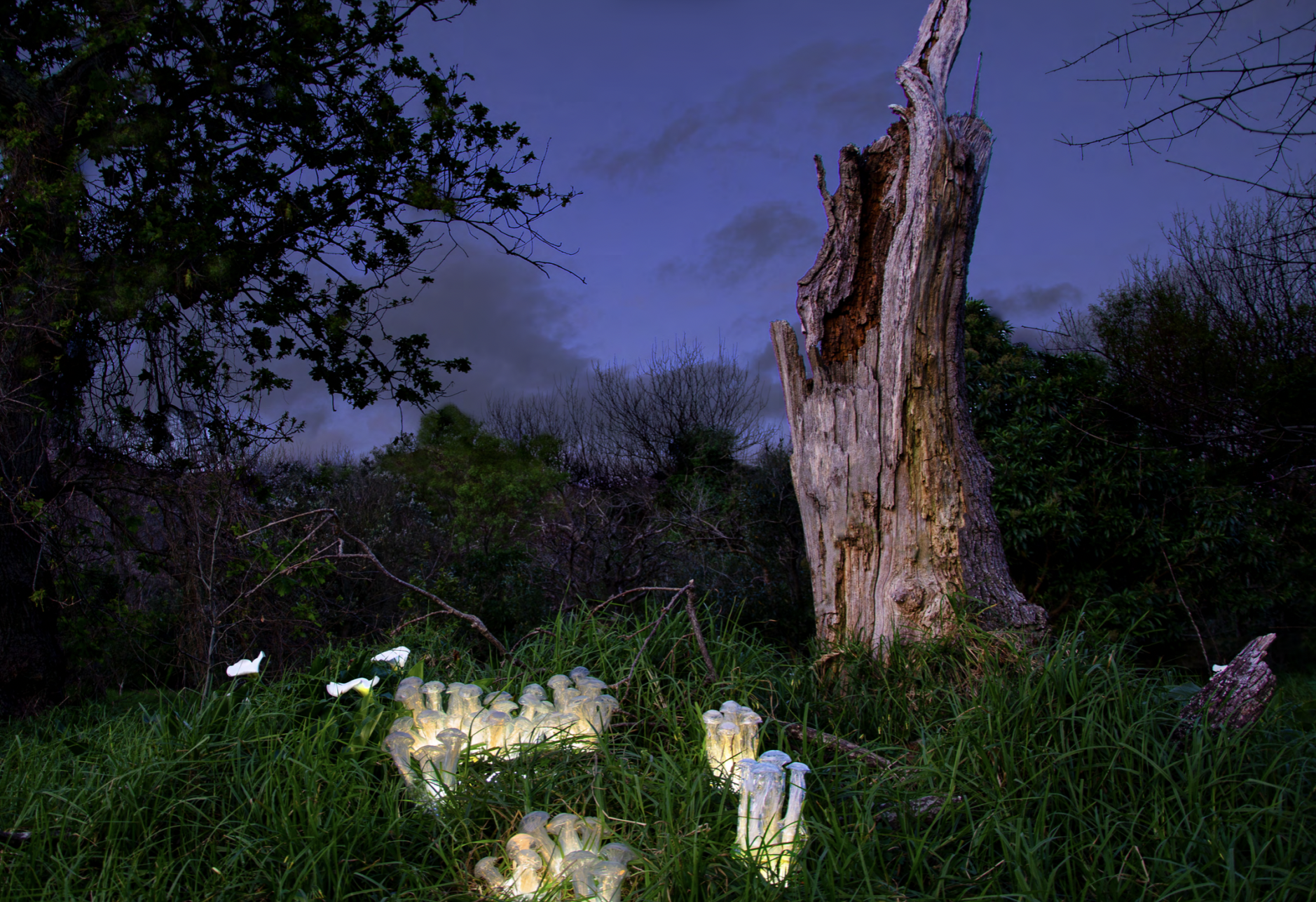 Screenshot 2026-03-16 at 18.24.51.png