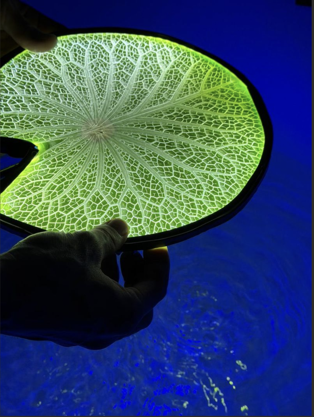 Screenshot 2026-03-30 at 20.21.11.png