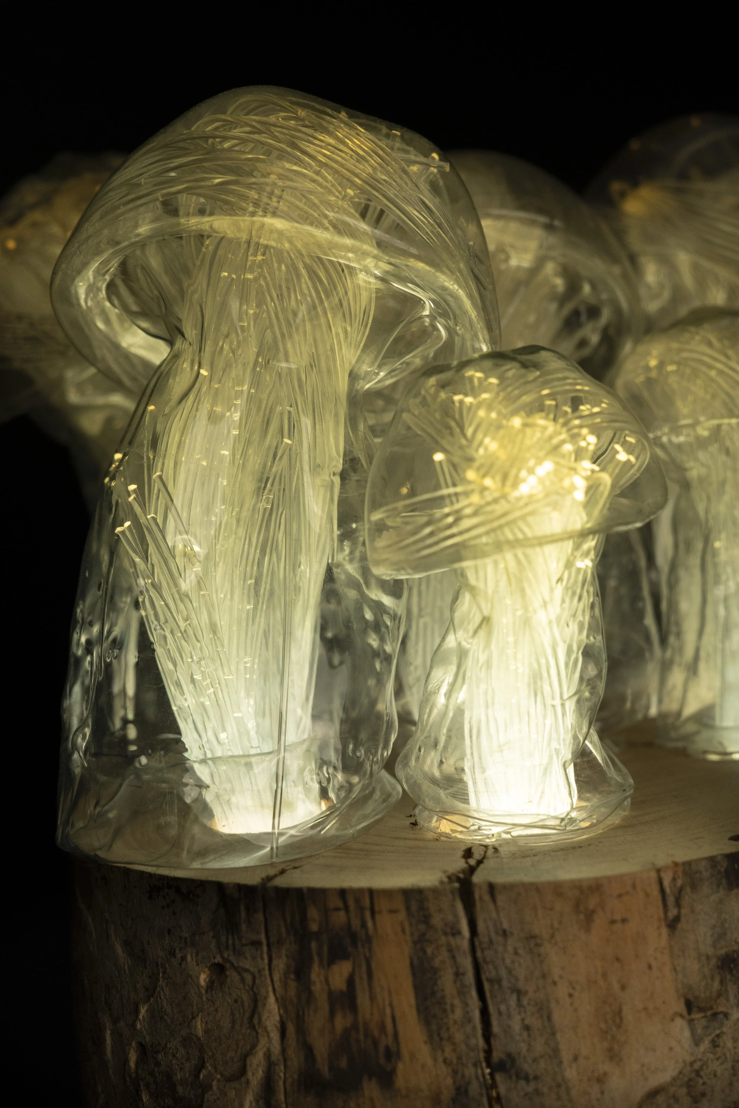 Mycoremediation XXI (Detail).JPG