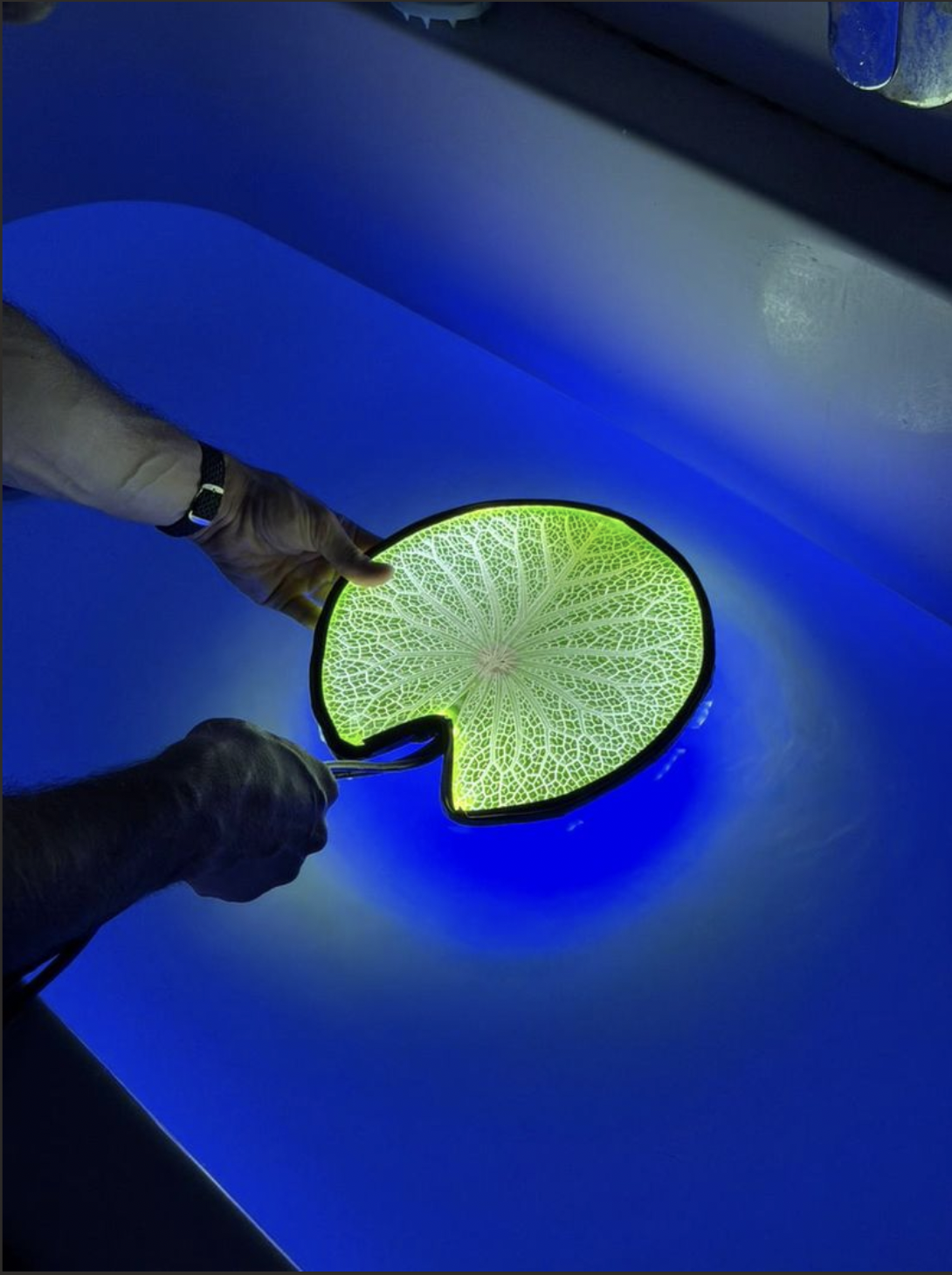 Screenshot 2026-03-30 at 20.21.31.png