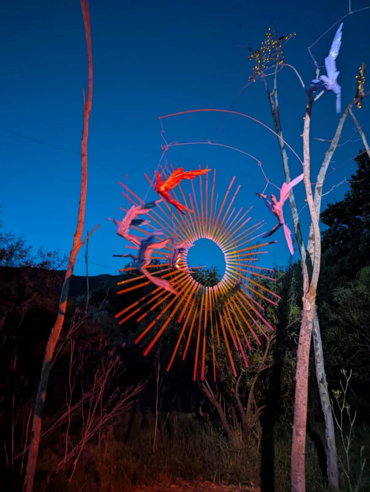 Starburst with bird mobile.jpeg