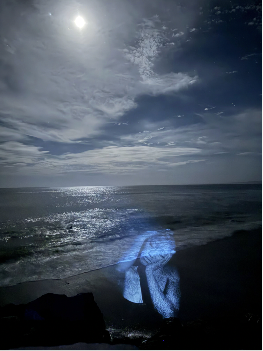 Screenshot 2026-04-08 at 16.39.54.png