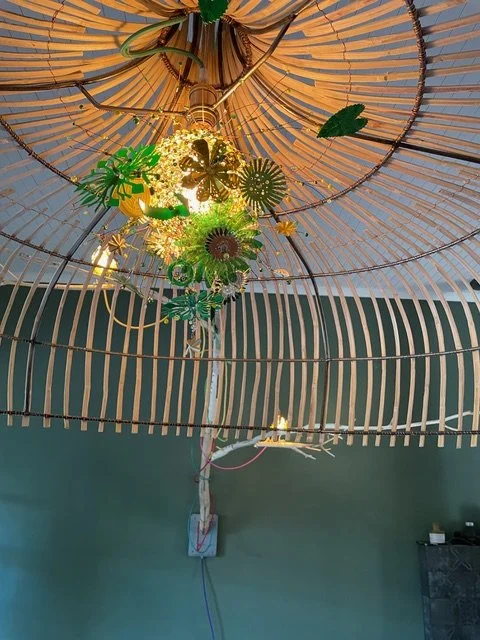 Branch with Spaanseriet shade and African Hoopoe 3.jpeg