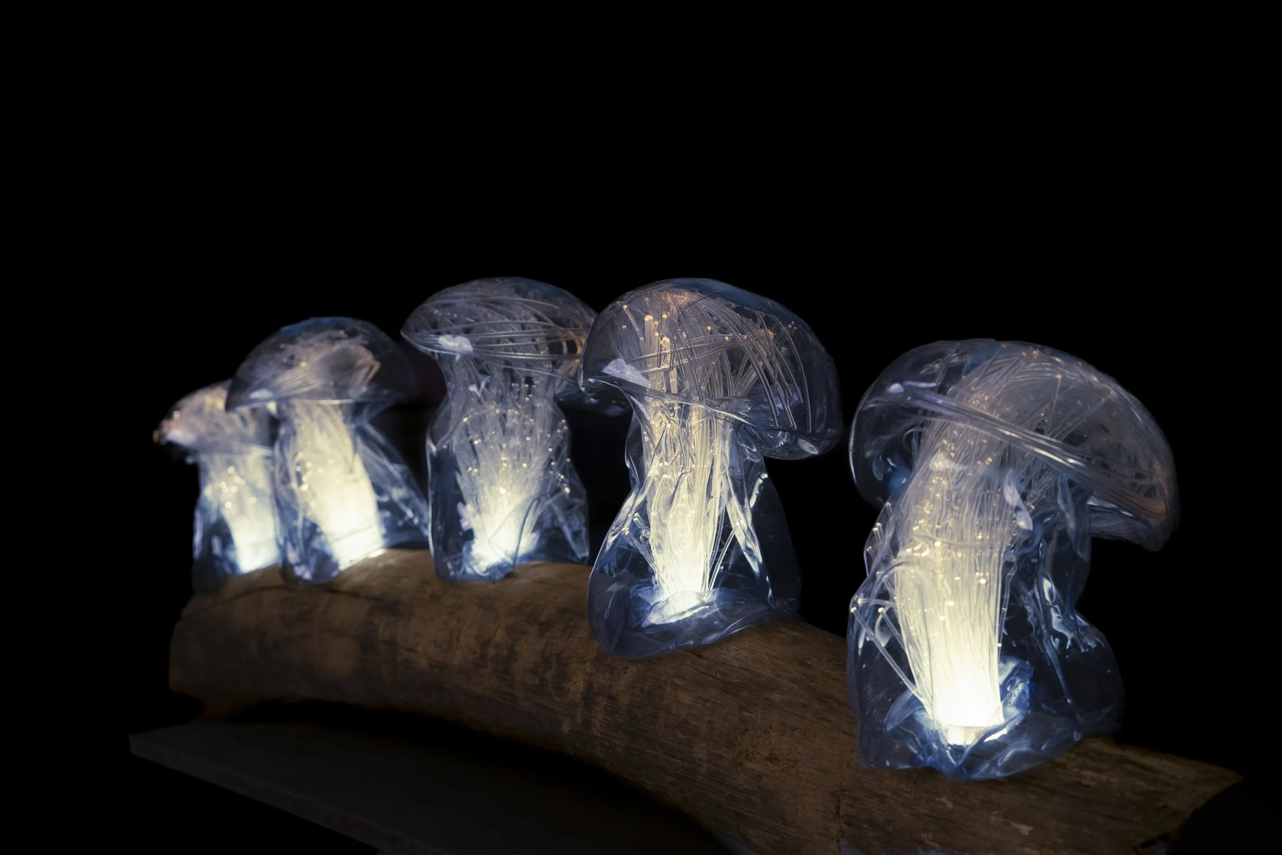 Mycoremediation XXV (Detail).JPG