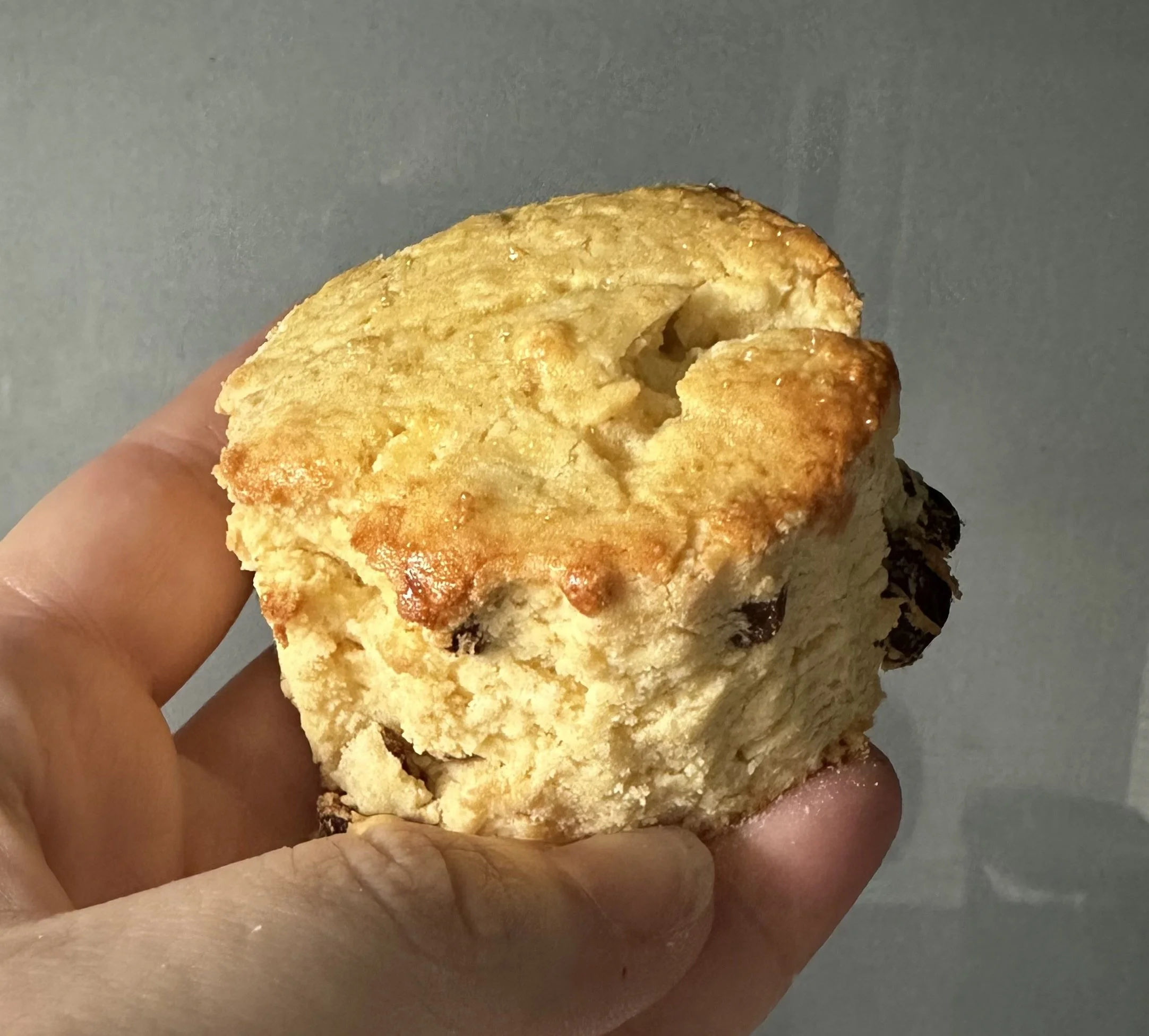 Sultana Scones (2 pack)