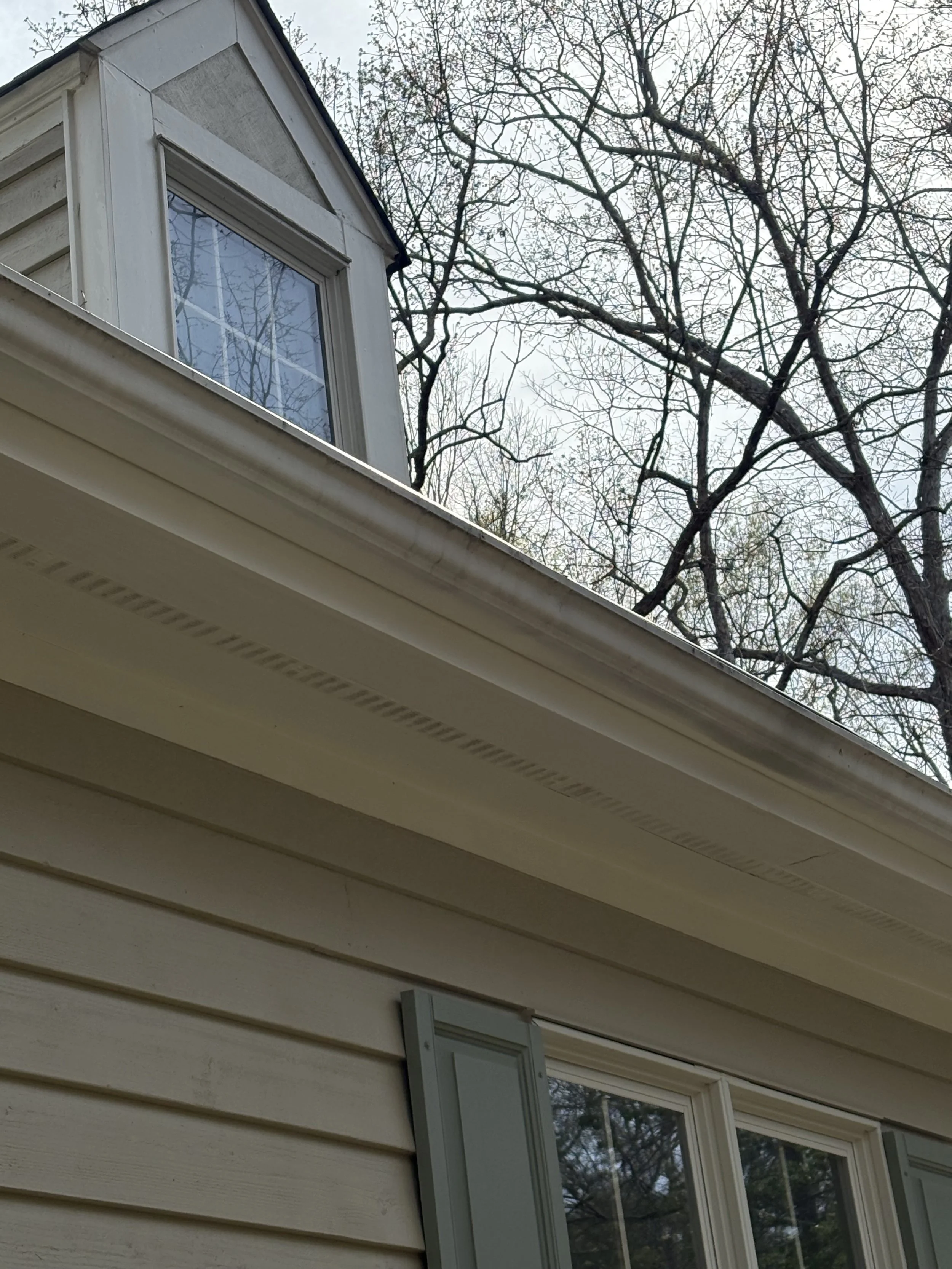 Gutter Cleaning and Brightening