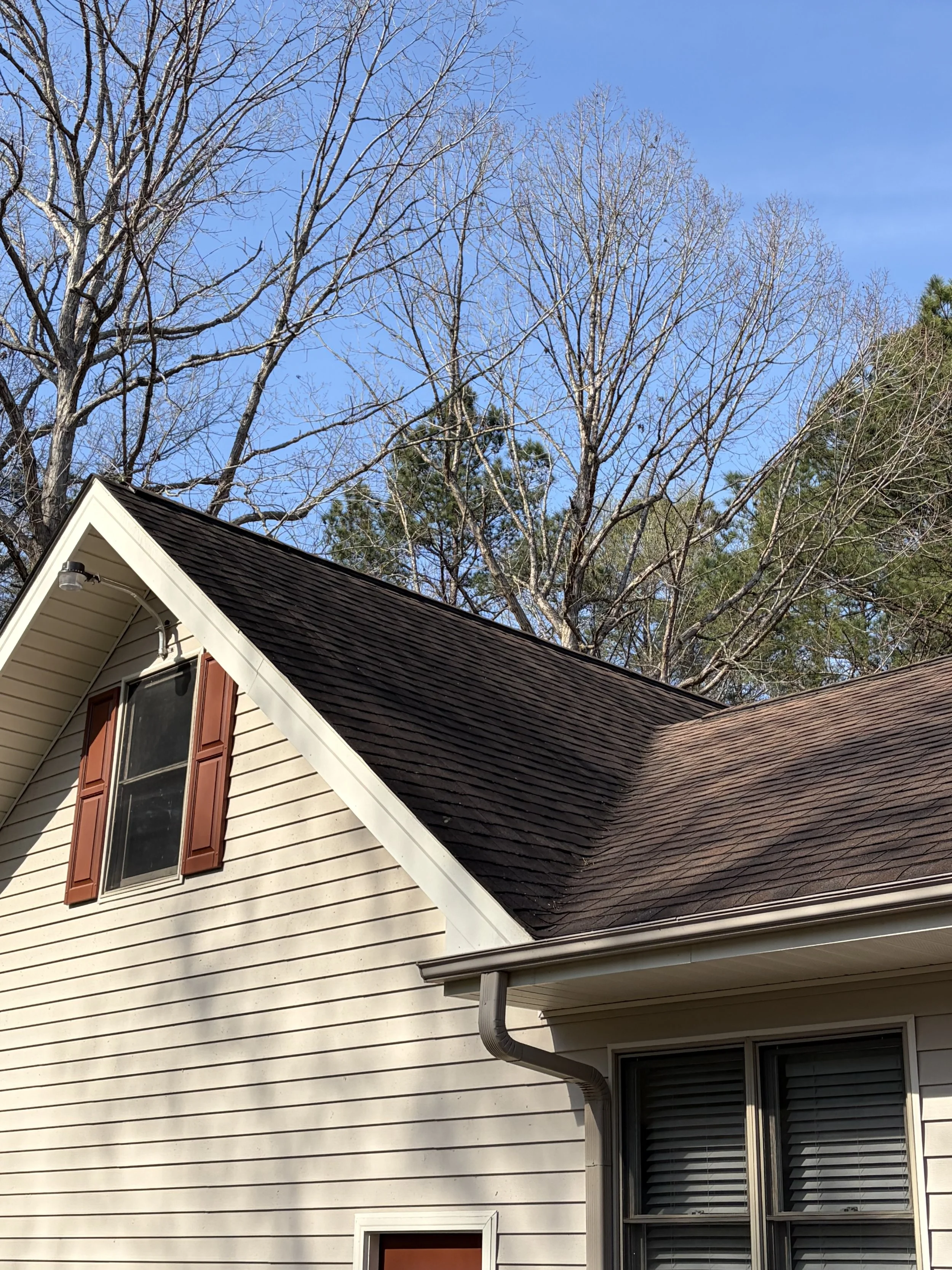 brownroofbefore.jpeg