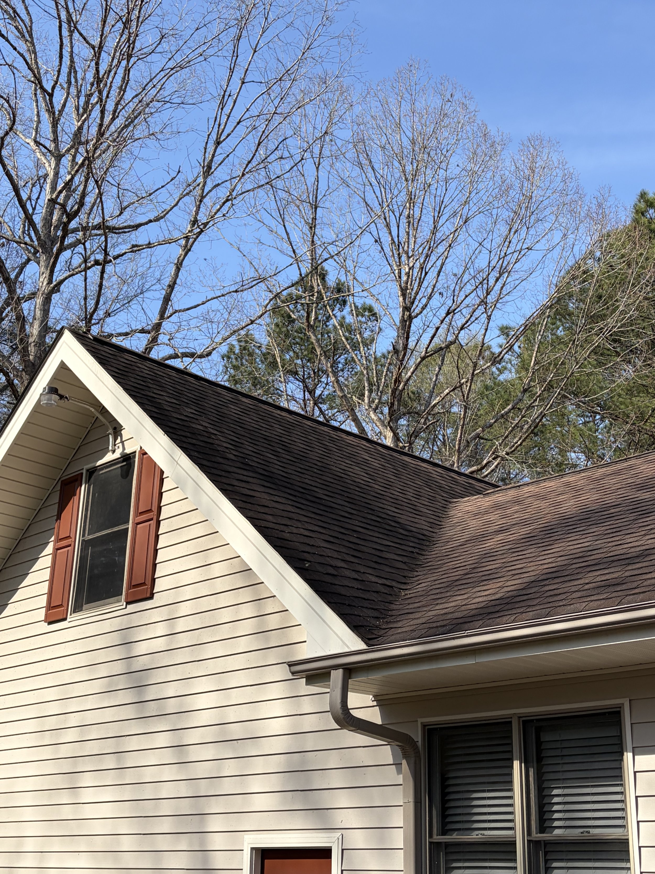 brownroofbefore.jpeg