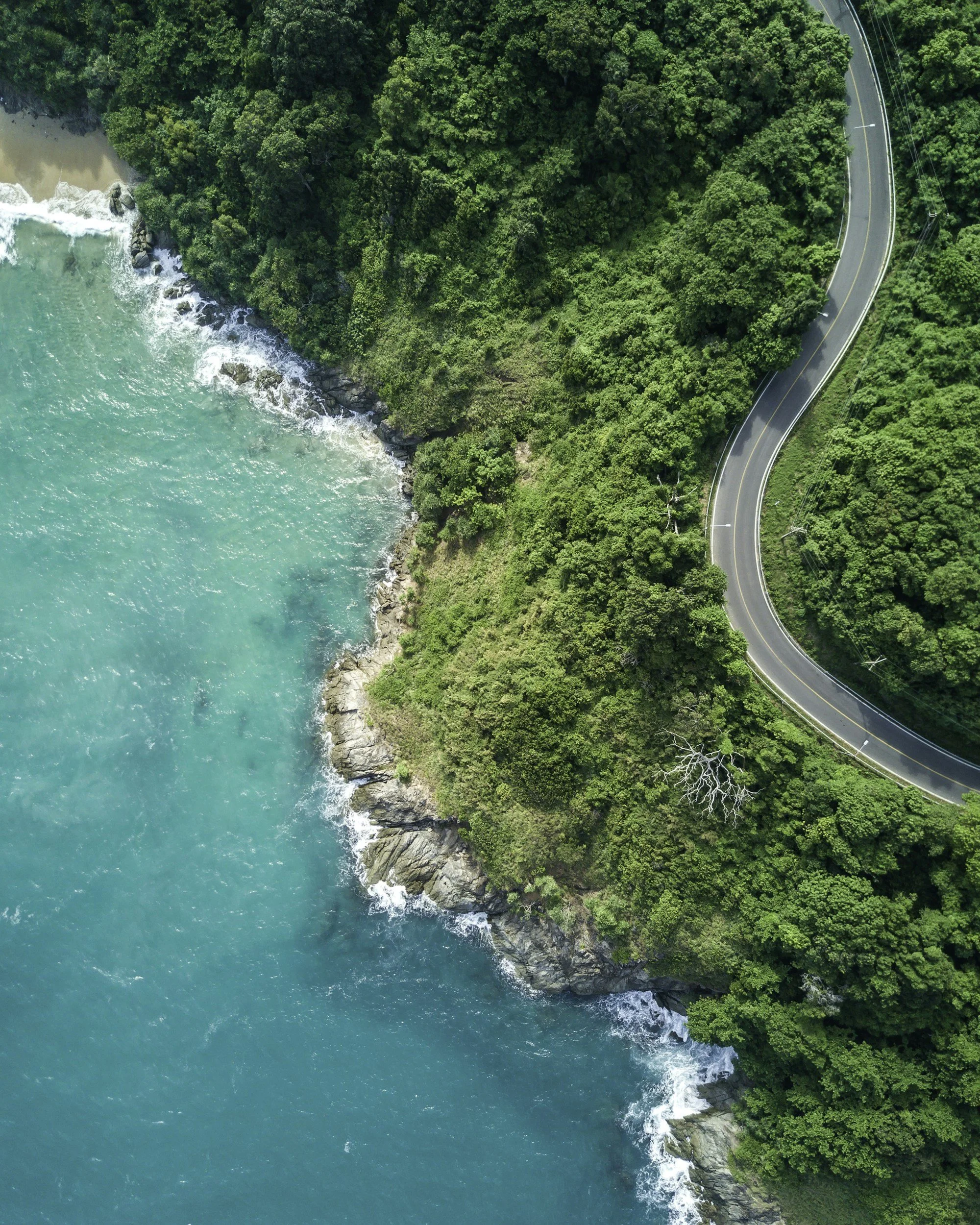 Aerial view of a coastal road winding through green trees alongside a rocky shoreline and turquoise ocean water.