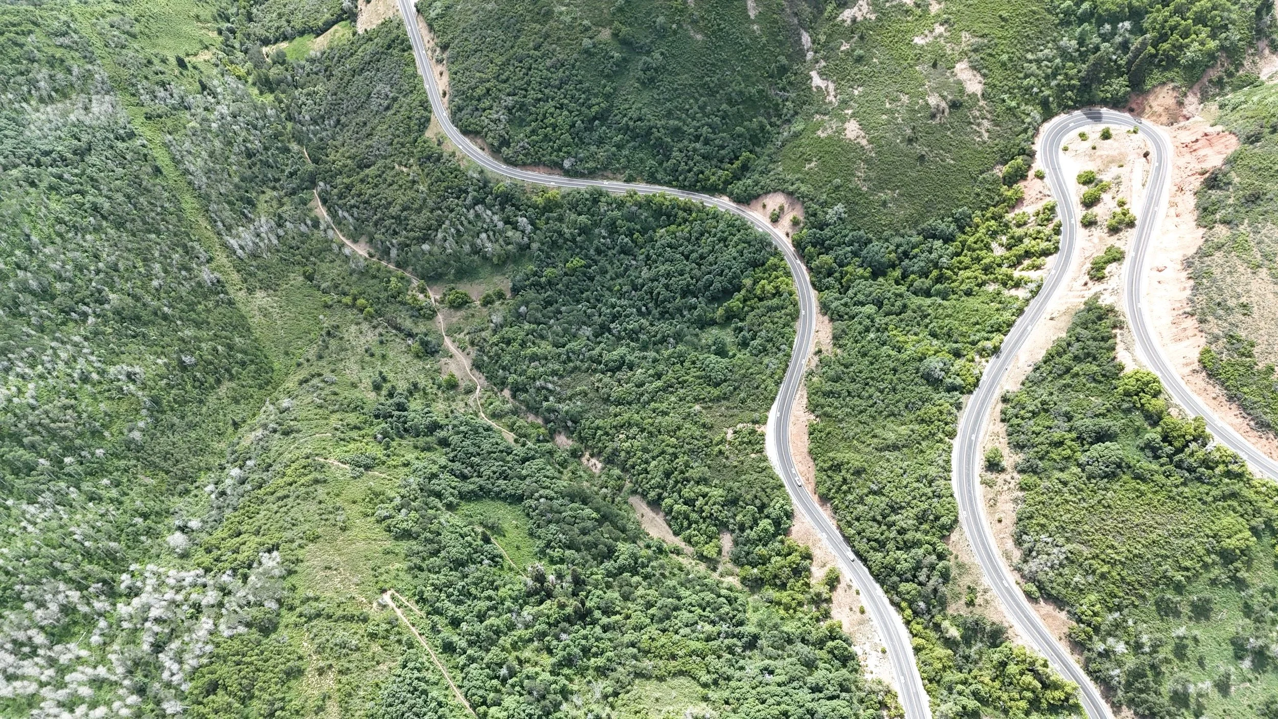The Straight Line Myth: Why Real Change Looks Messier Than Your Project Plan