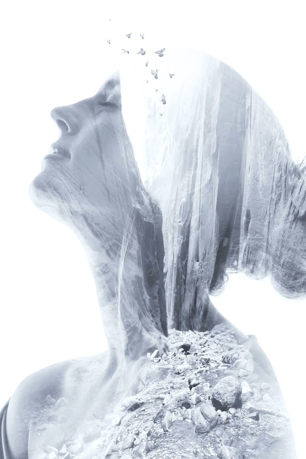 Wellflow Counselling and Executive Coaching