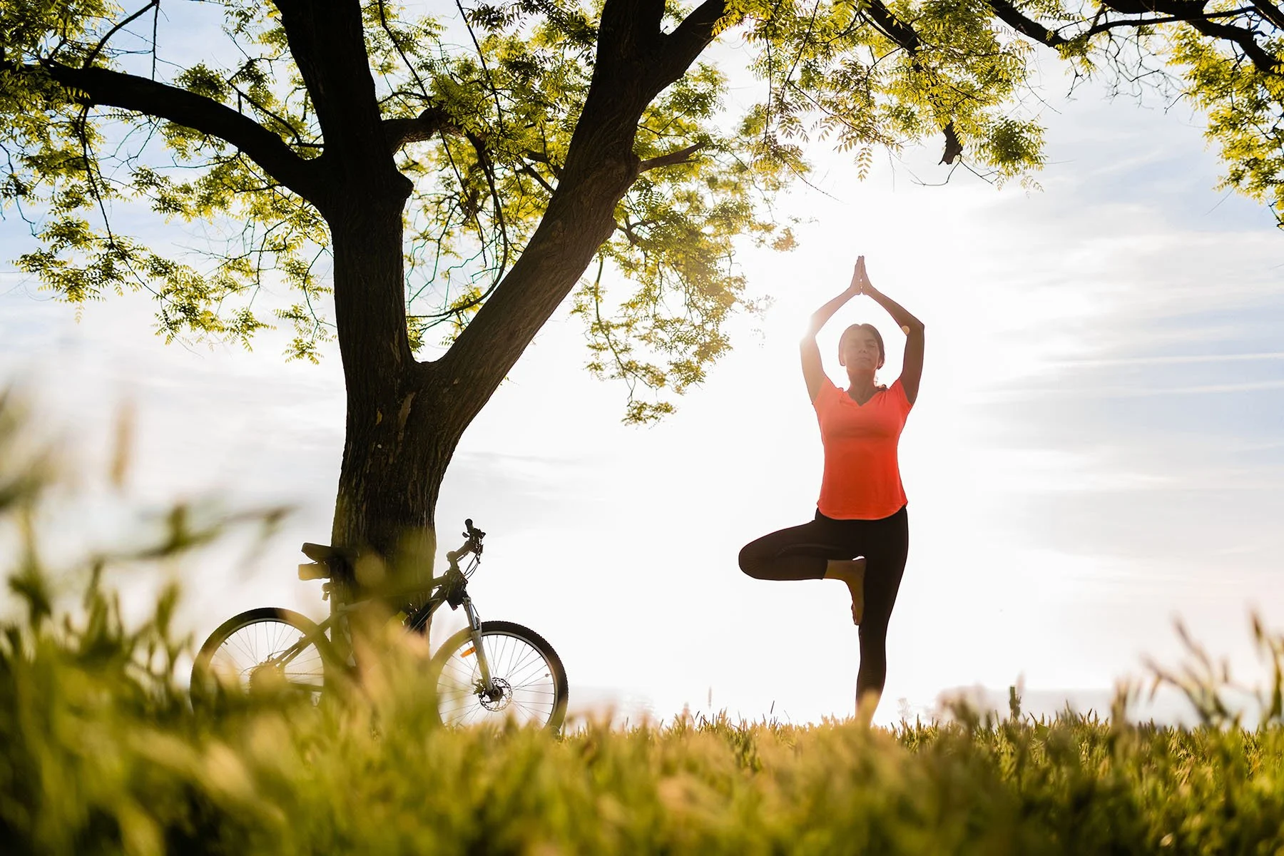 A woman practicing yoga outdoors near a large tree, with a bicycle leaning against the tree, during sunrise or sunset.