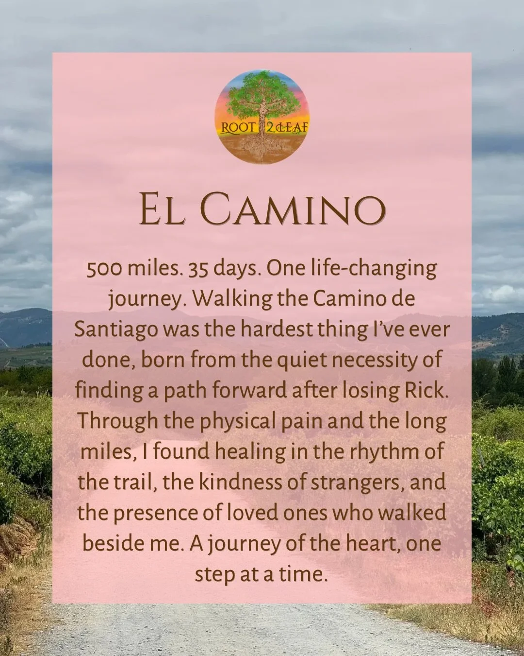 Setting out to walk 500 miles across Spain wasn&rsquo;t just about the hike; it was something I needed to do for my soul after losing Rick. There were days when the trail felt impossibly long and the physical pain was overwhelming, but the Camino has