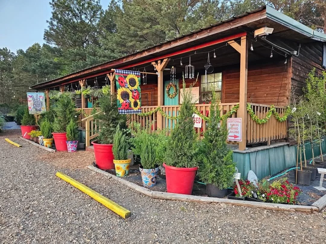 A small wooden building decorated with colorful banners, flowers, and potted plants outside. There are large red and colorful pots with green plants, and signs indicating reserved parking and additional parking behind the building.