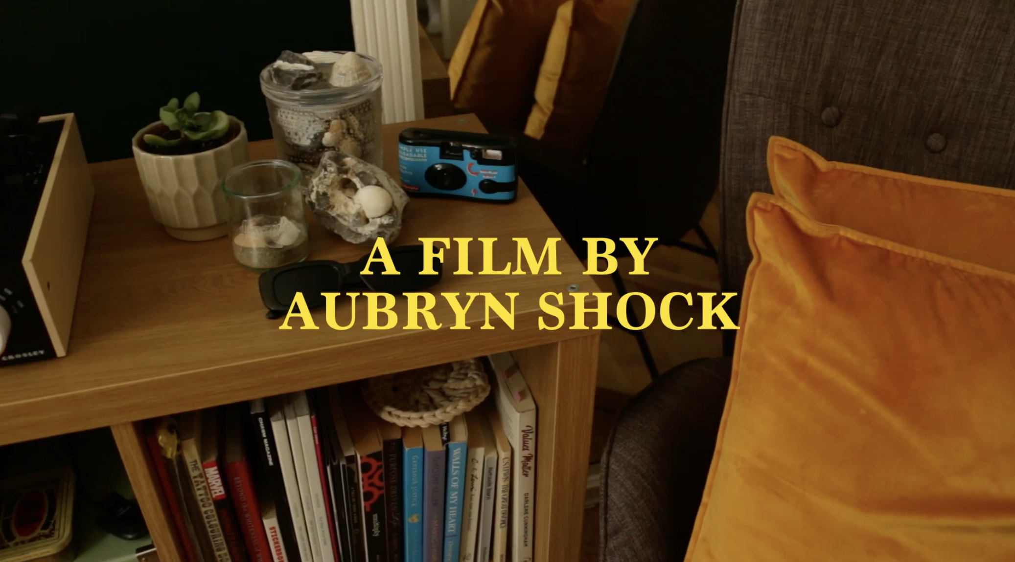VIDEO WORK