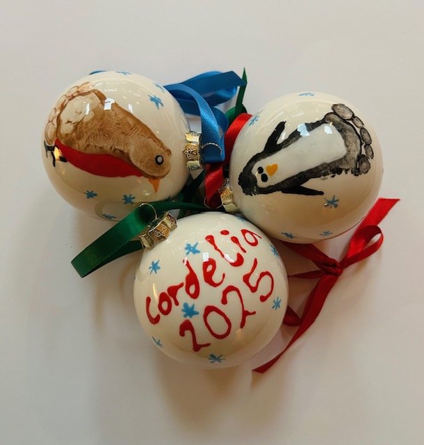 Three decorated Christmasbabyfeet ornaments with penguin and Rudolf designs and a message reading "Cordélia 2015" on one ornament, tied with colourful ribbons.