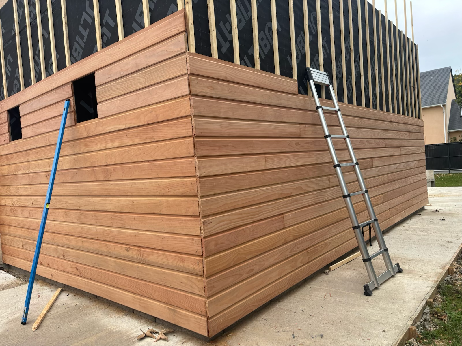 Clin Sapin Douglas - Pendant