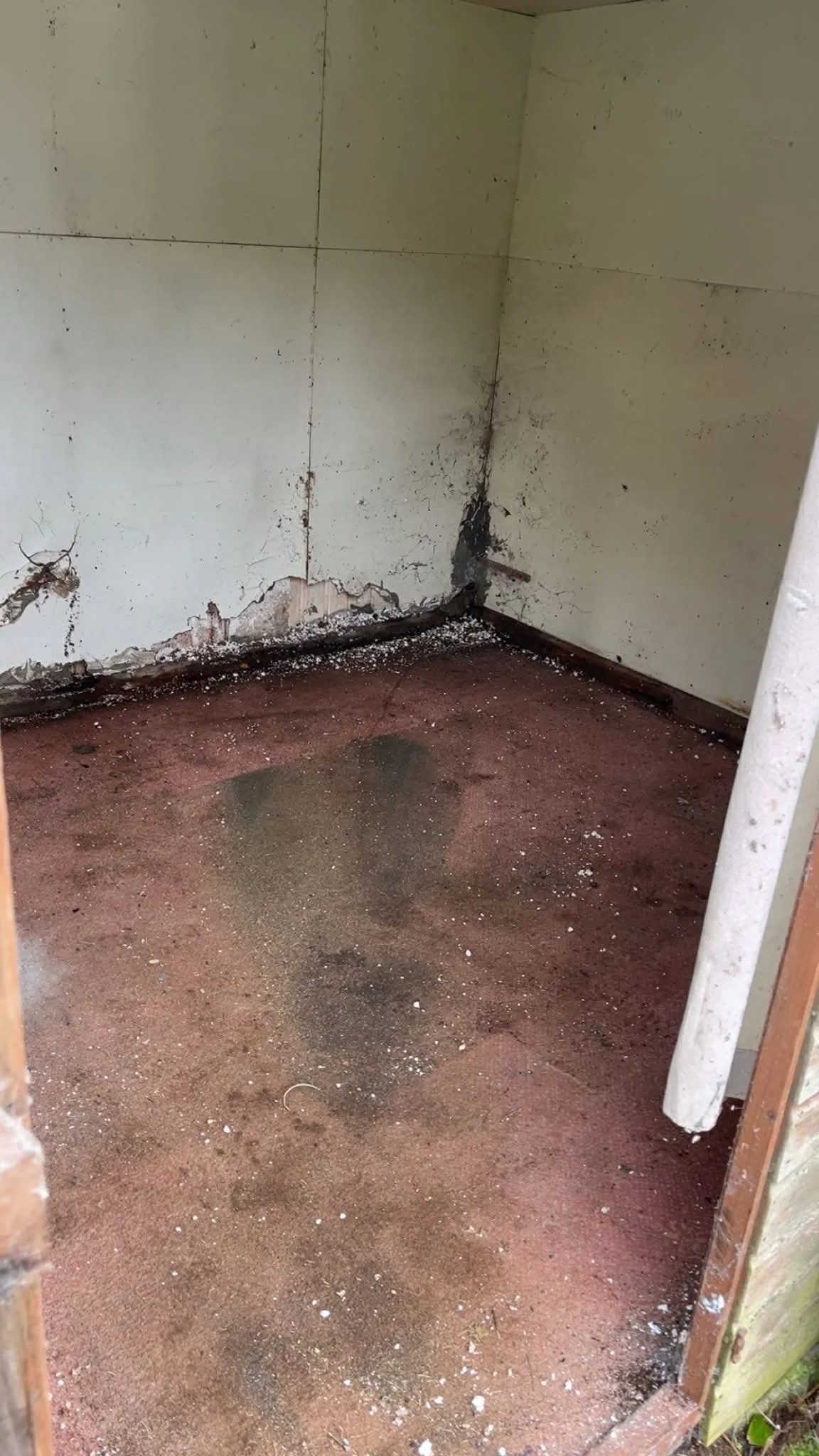 A small, empty, and dirty room with peeling paint and black mold on the walls, a water stain on the floor, and debris scattered around.