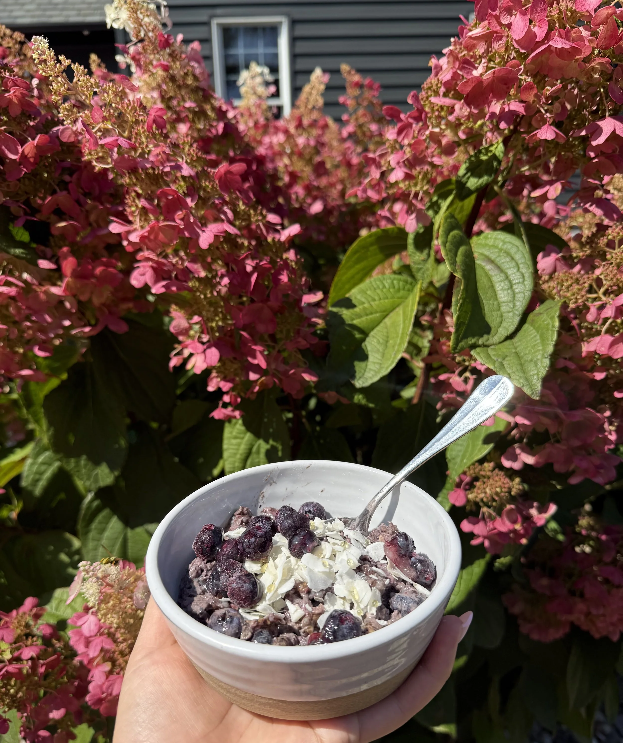 Blueberry Coconut Overnight Oats