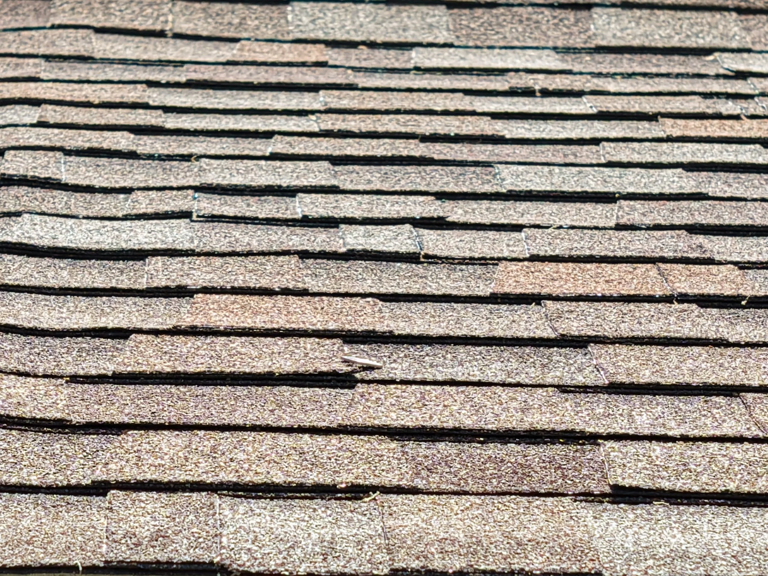 detailed inspection photos of roof shingles for insurance claims