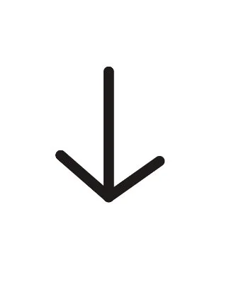 Black downward arrow on a white background