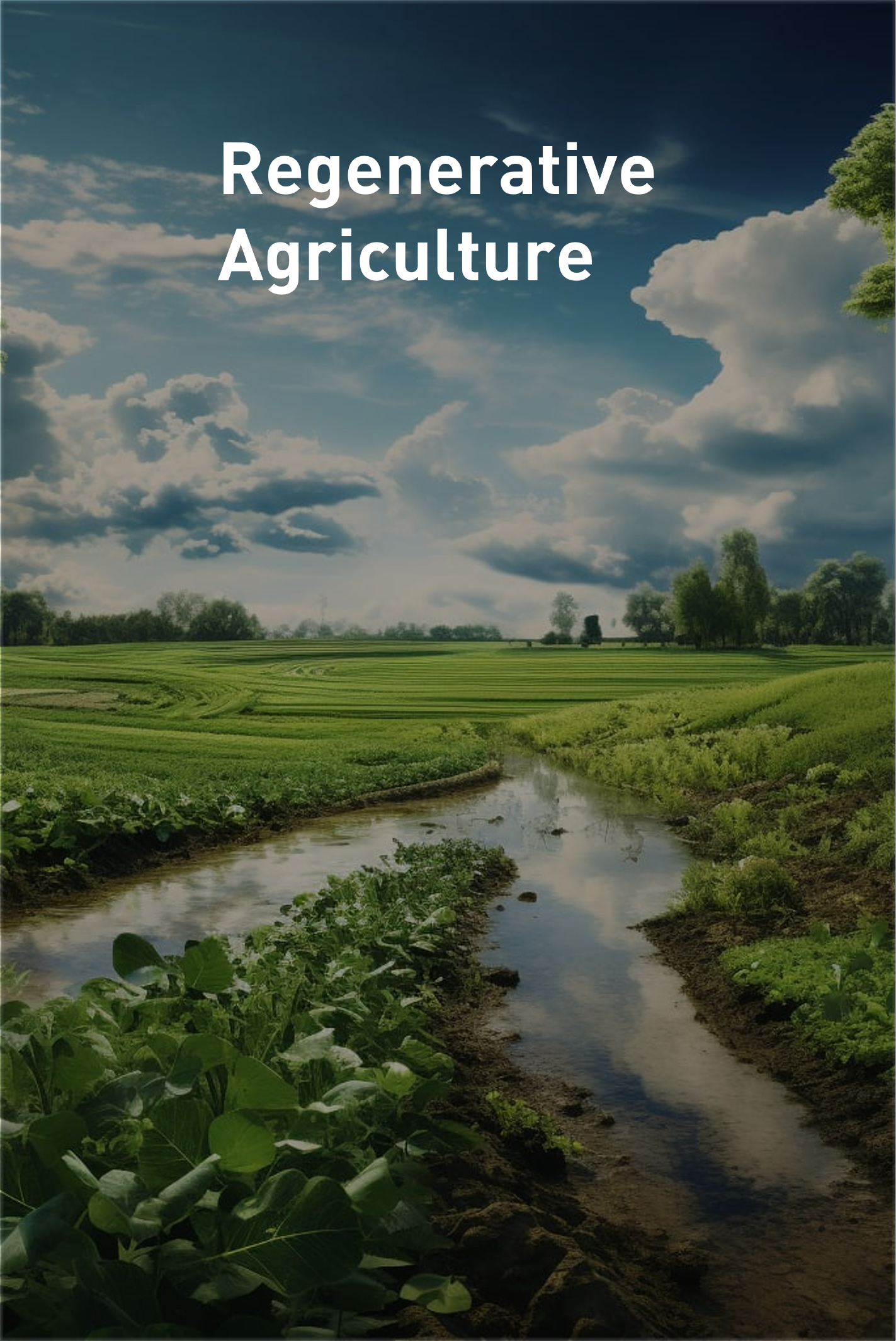Regenerative Agriculture