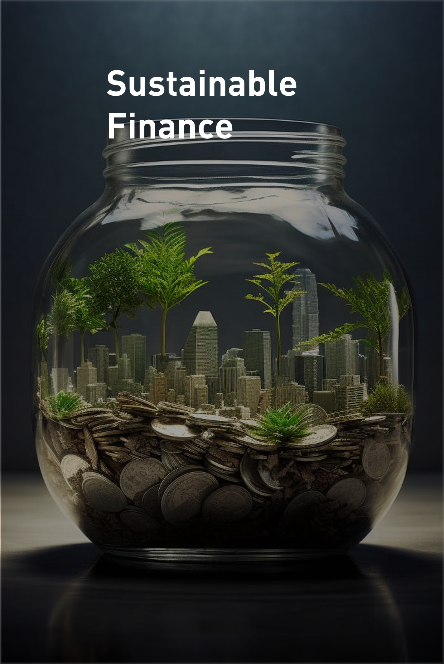 Sustainable Finance