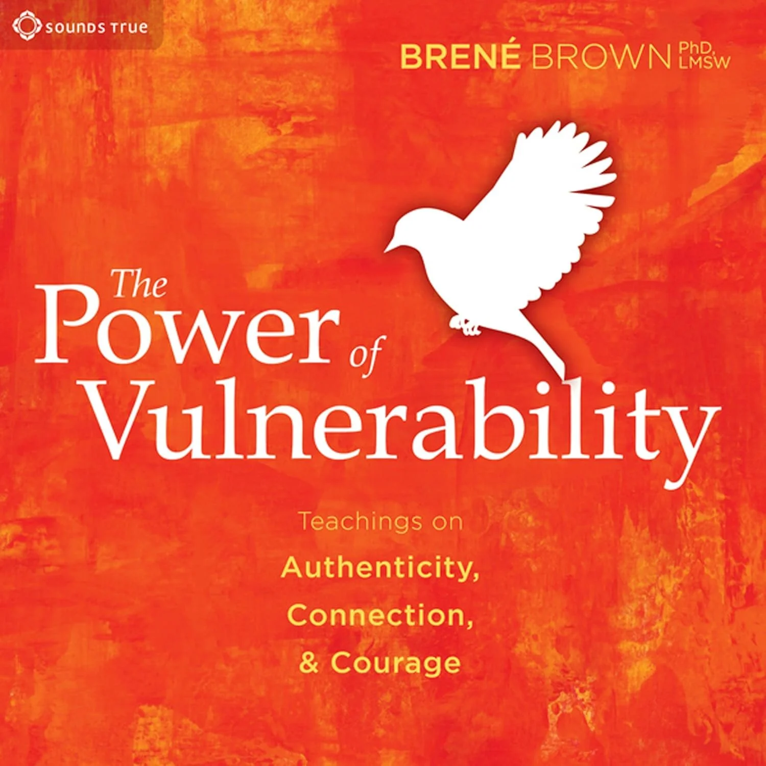 Book cover titled 'The Power of Vulnerability' by Brené Brown, with subtitle 'Teachings on Authenticity, Connection, & Courage', featuring a white silhouette of a bird on a textured orange background.