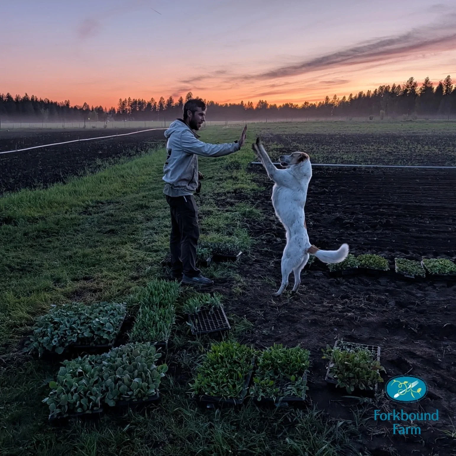 Joshua Tavenner high-fiving his white dog