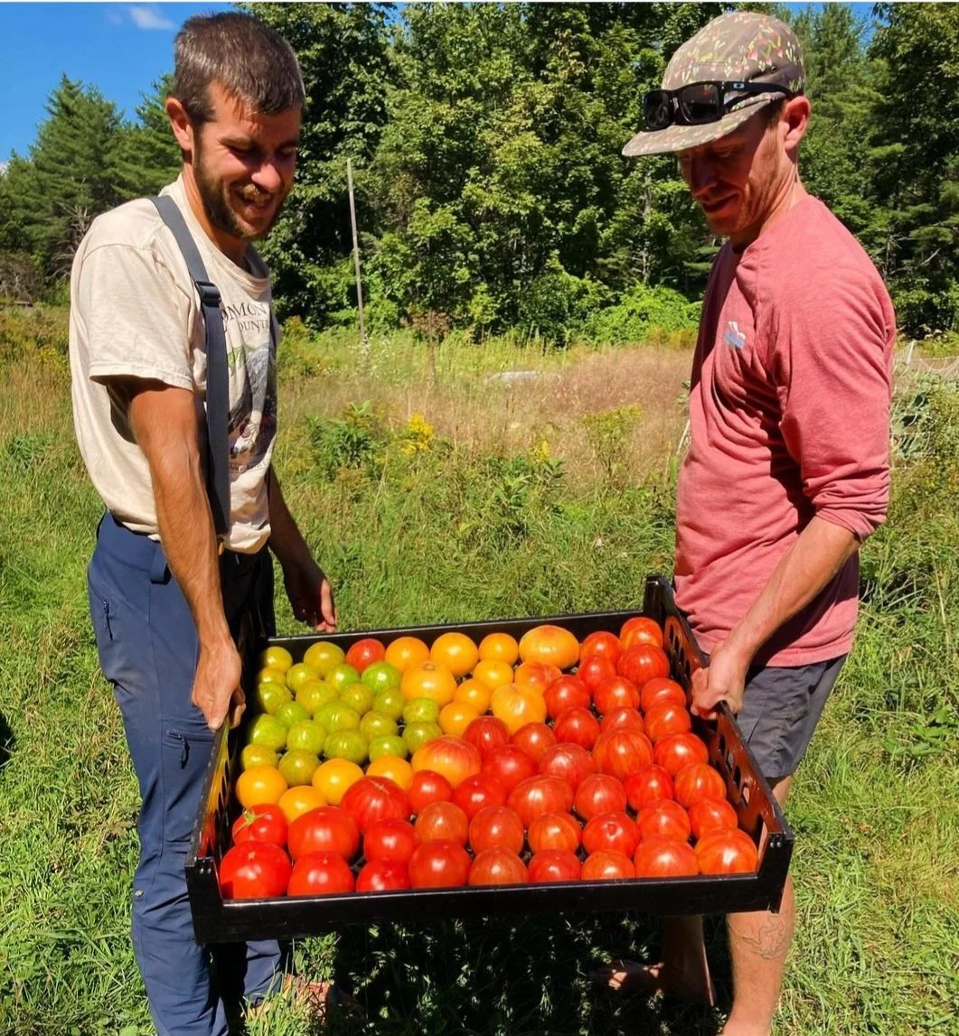 Adam and Joshua of Forkbound Farm holding a bread tray of green, yellow, and red tomatoes
