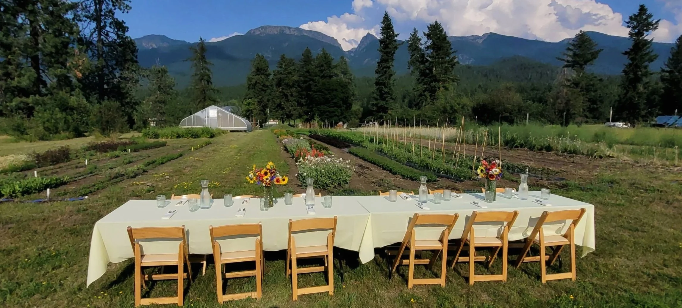 Farm to table dinner at Forkbound Farm.  Table set for organic dinner near farm field with mountains behind.