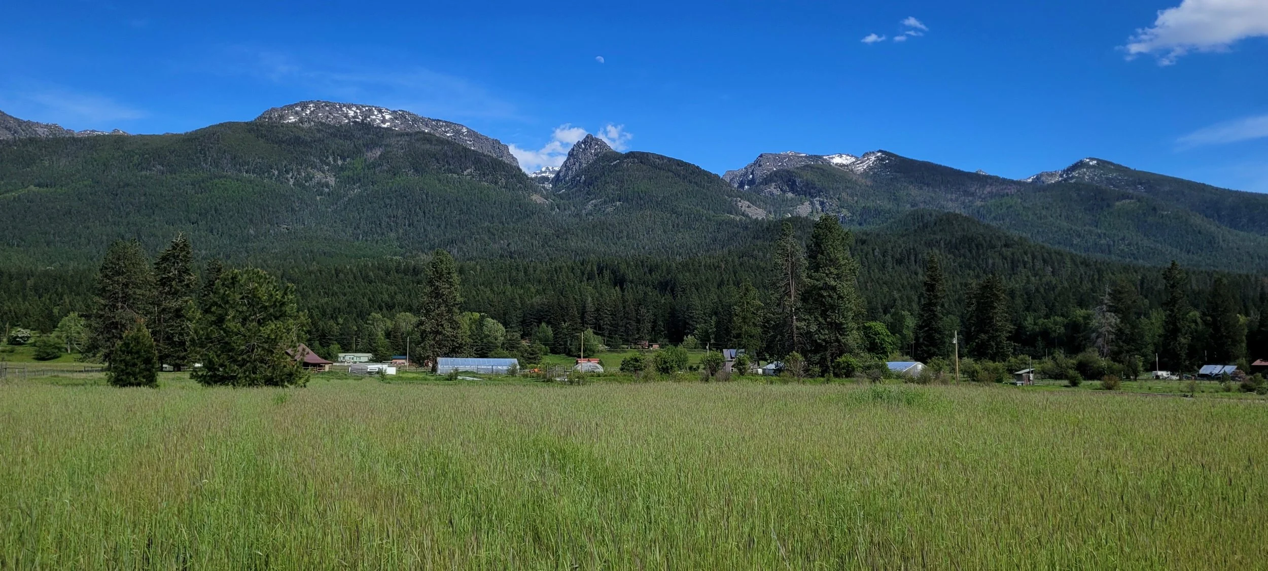 A grassy field with a hoop house and other barn structures in the distance, with a mountainous backdrop and blue sky