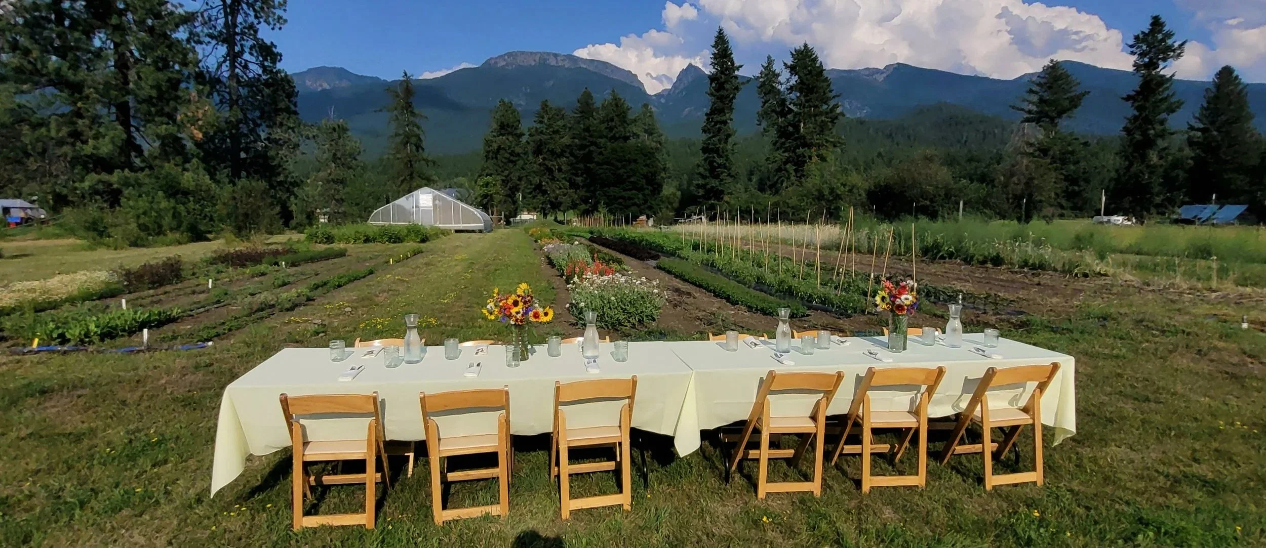Dinner table setup in field with flower arrangements and dining ware. Mountains and sky in background. 