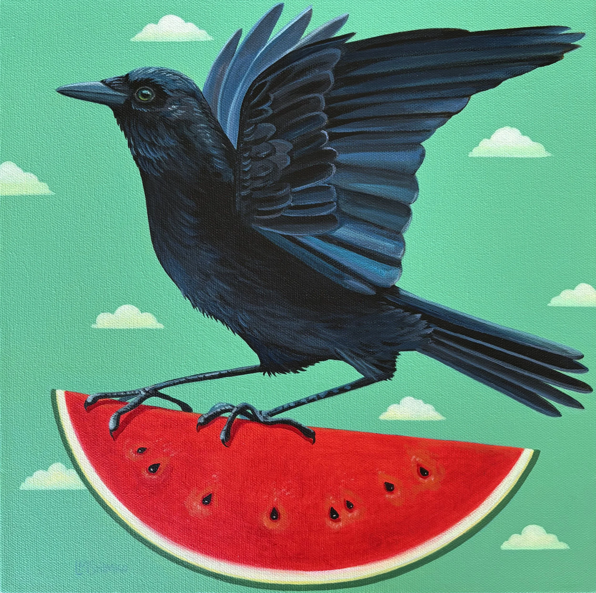Watermelon Crow Flight.jpeg