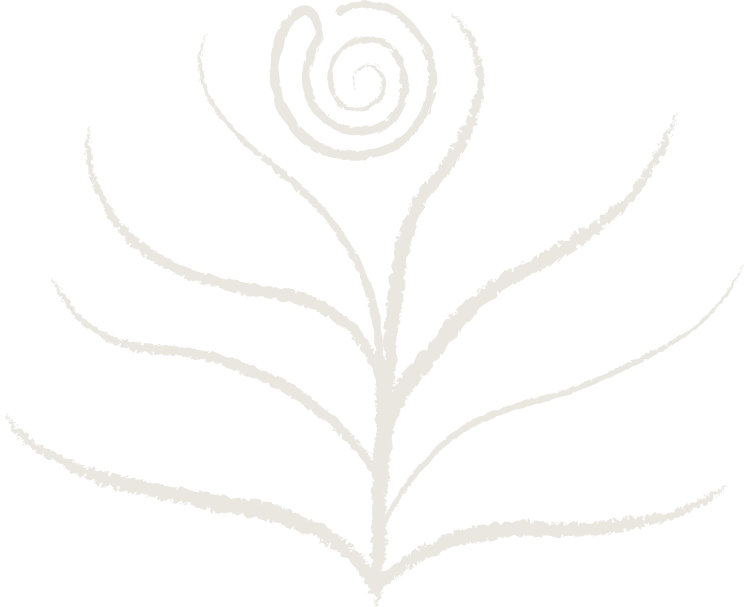 Saison Studio logo - Off-white abstract spiral fingerprint pattern at the top of a stylized tree with multiple curved branches