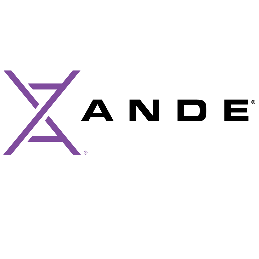 technology-client-ande