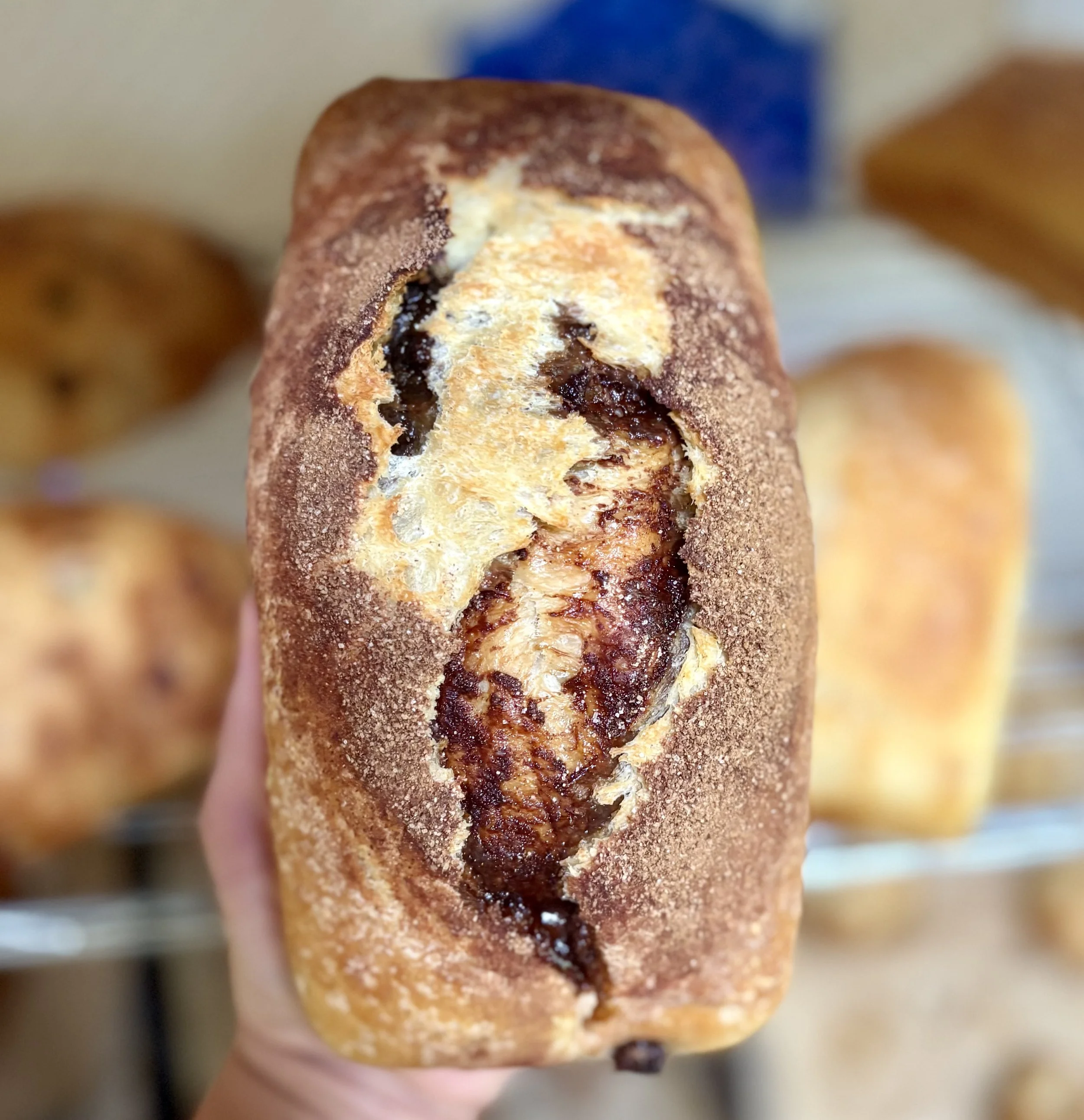 Sourdough Cinnamon Raisin Swirl