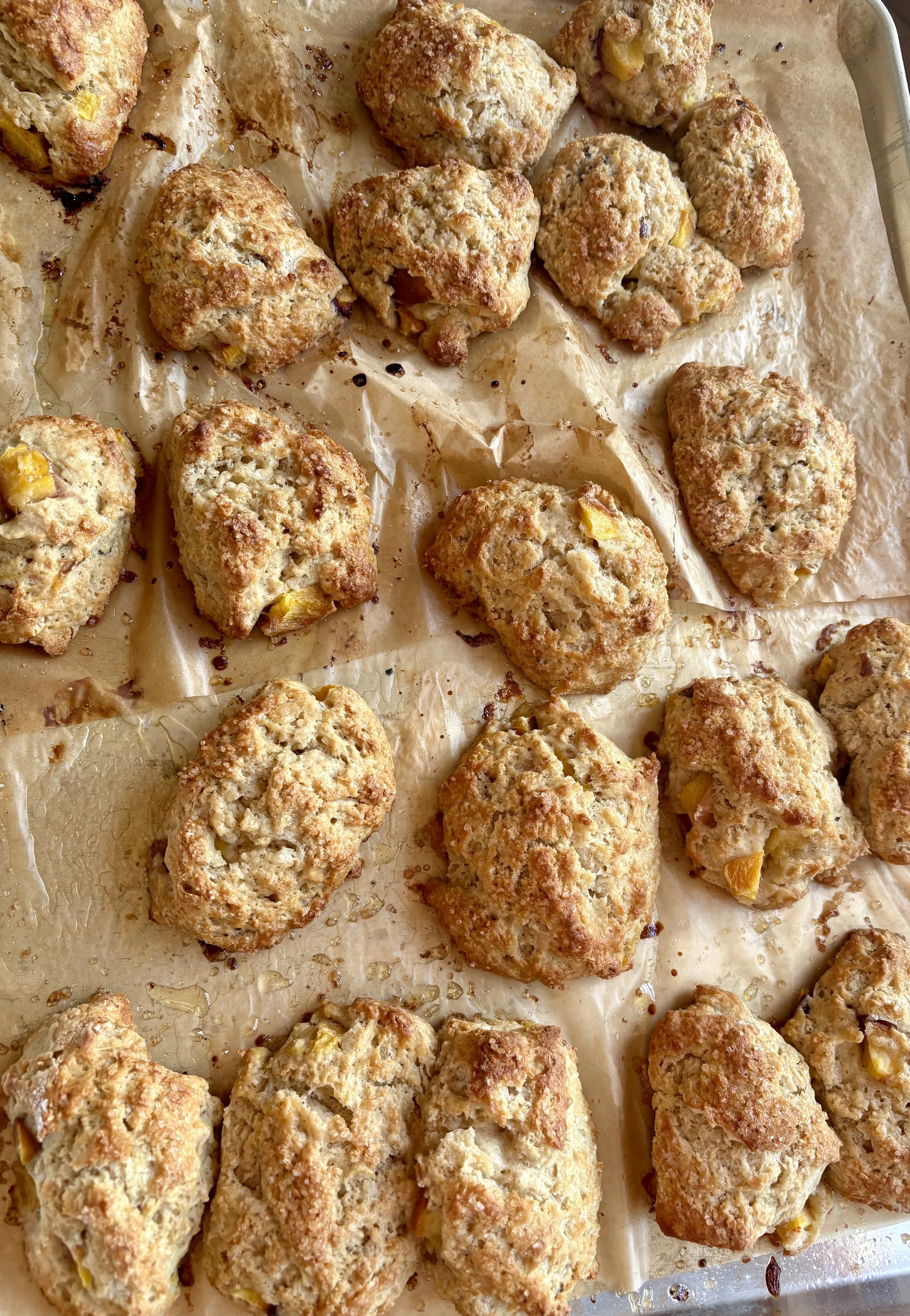 Gluten Free Fig and Apricot Scone