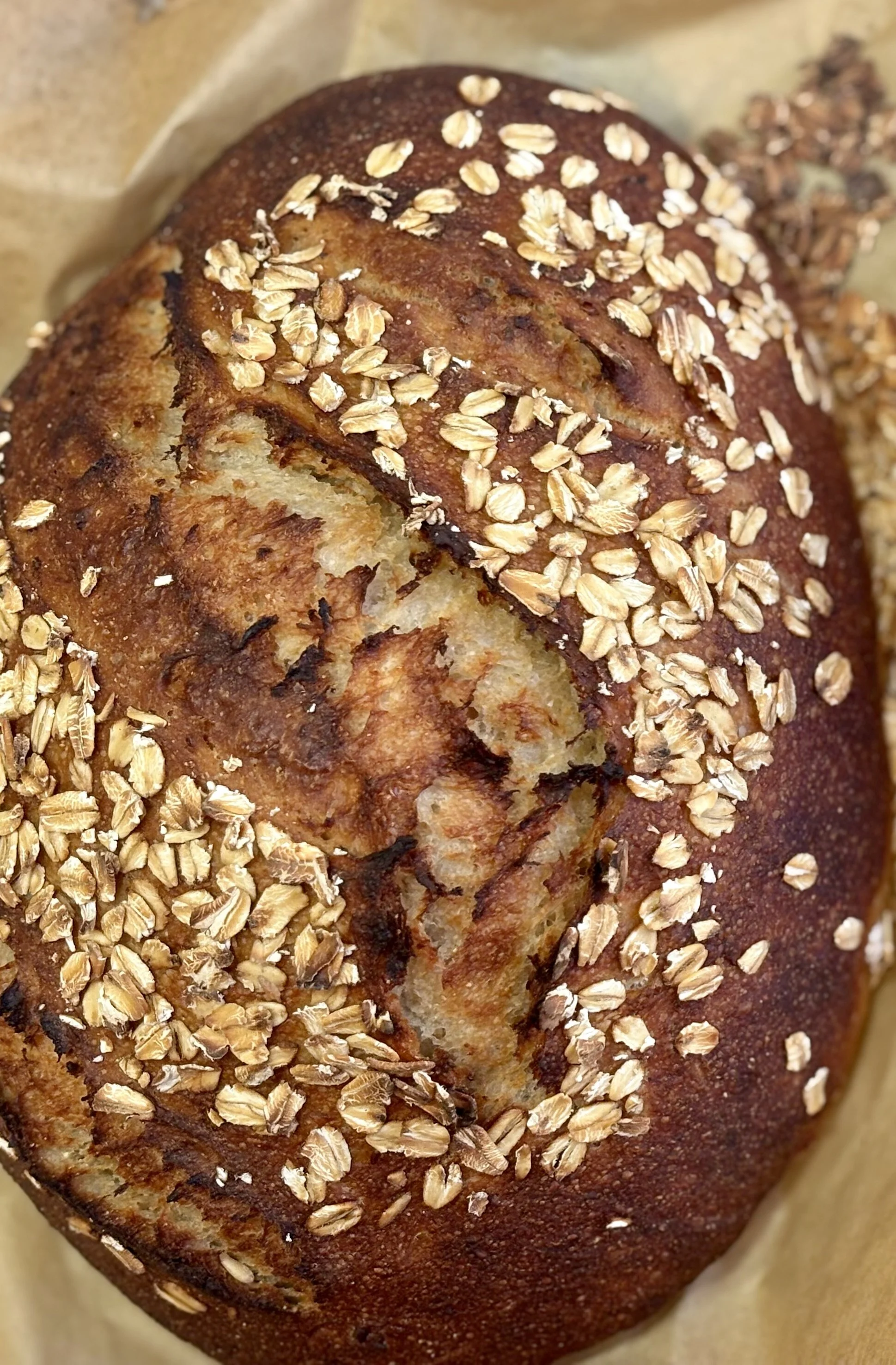 Sourdough Einkorn Oat and Honey