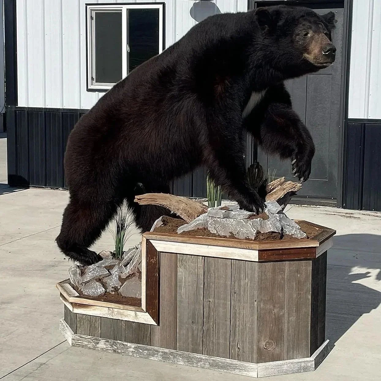 626350377_18209959783320080_1964740873137108431_n.jpg