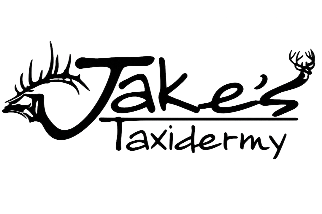 Jakes Taxidermy