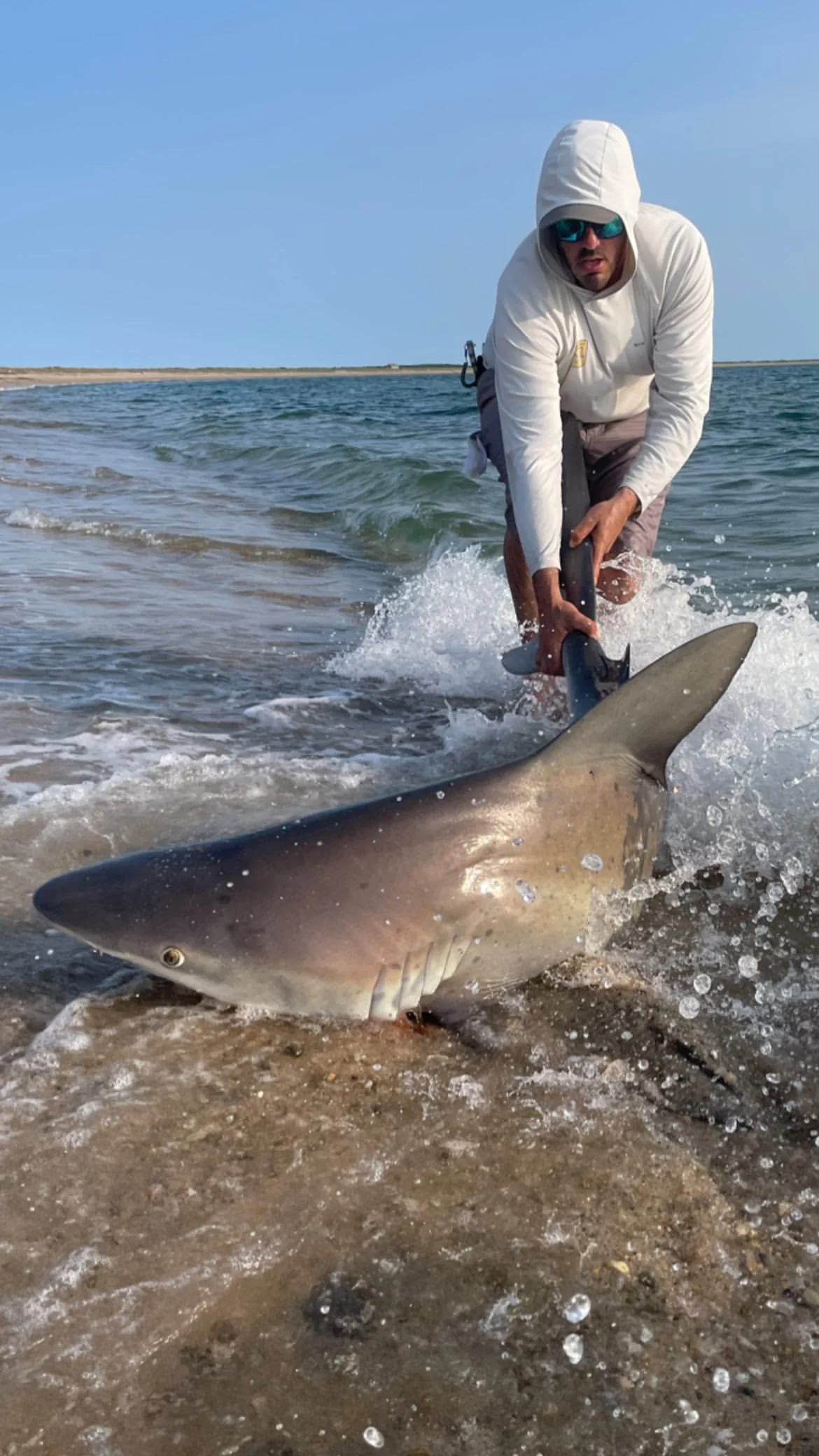 One of our expert guides holding a shark in the water, having caught the large shark on the shore.