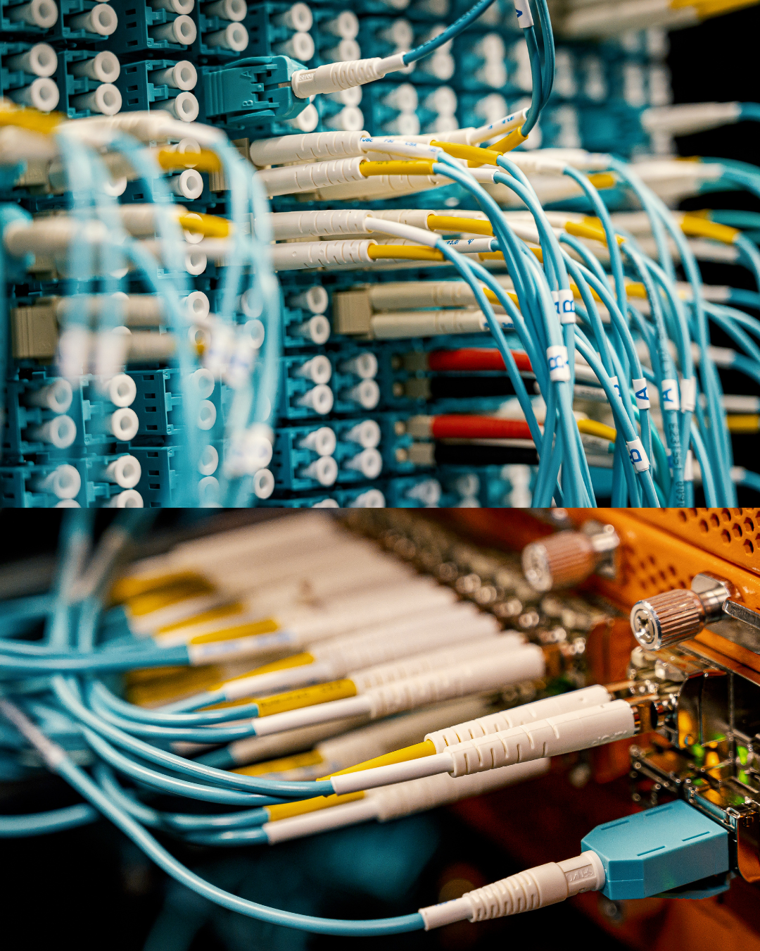 Close-up of network cables connected to a server, featuring blue and yellow Ethernet cables plugged into ports on a server rack.