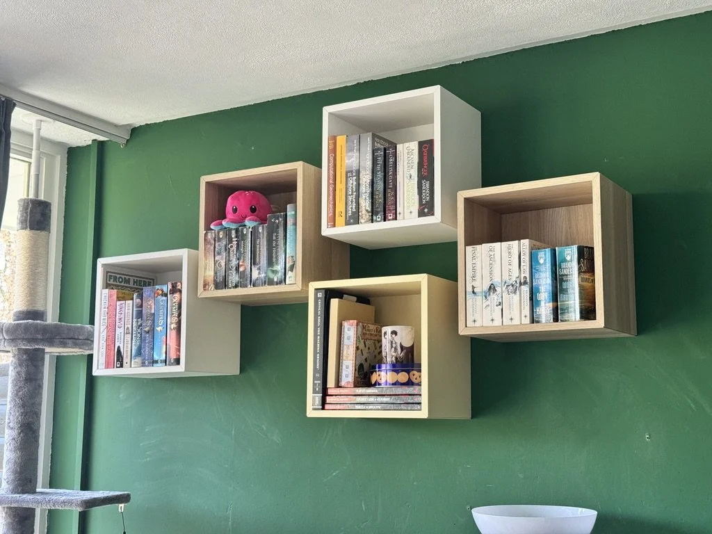 A series of shelves installed decoratively on a concrete wall